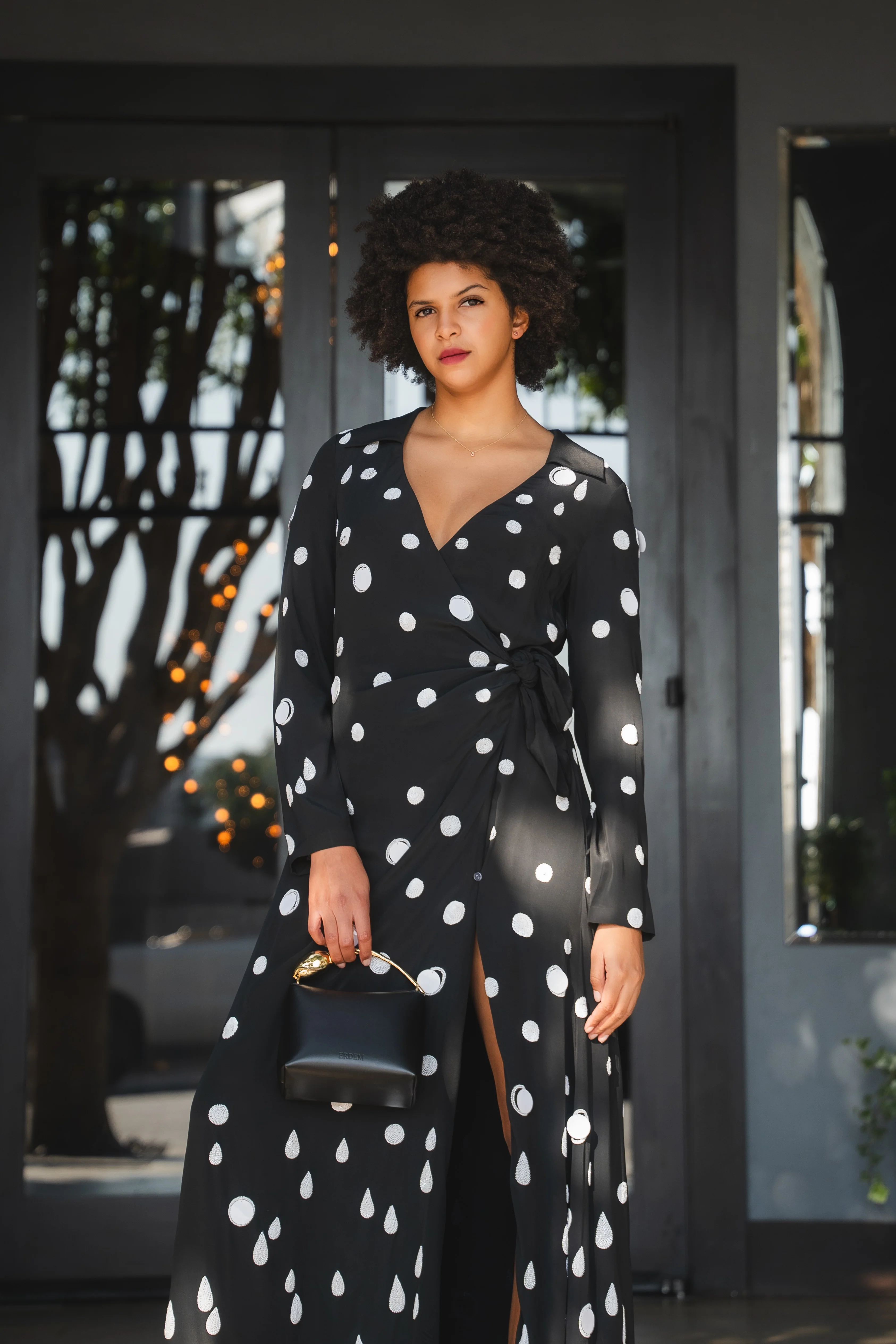 Marion Polka Embroidered Dress - Image 3