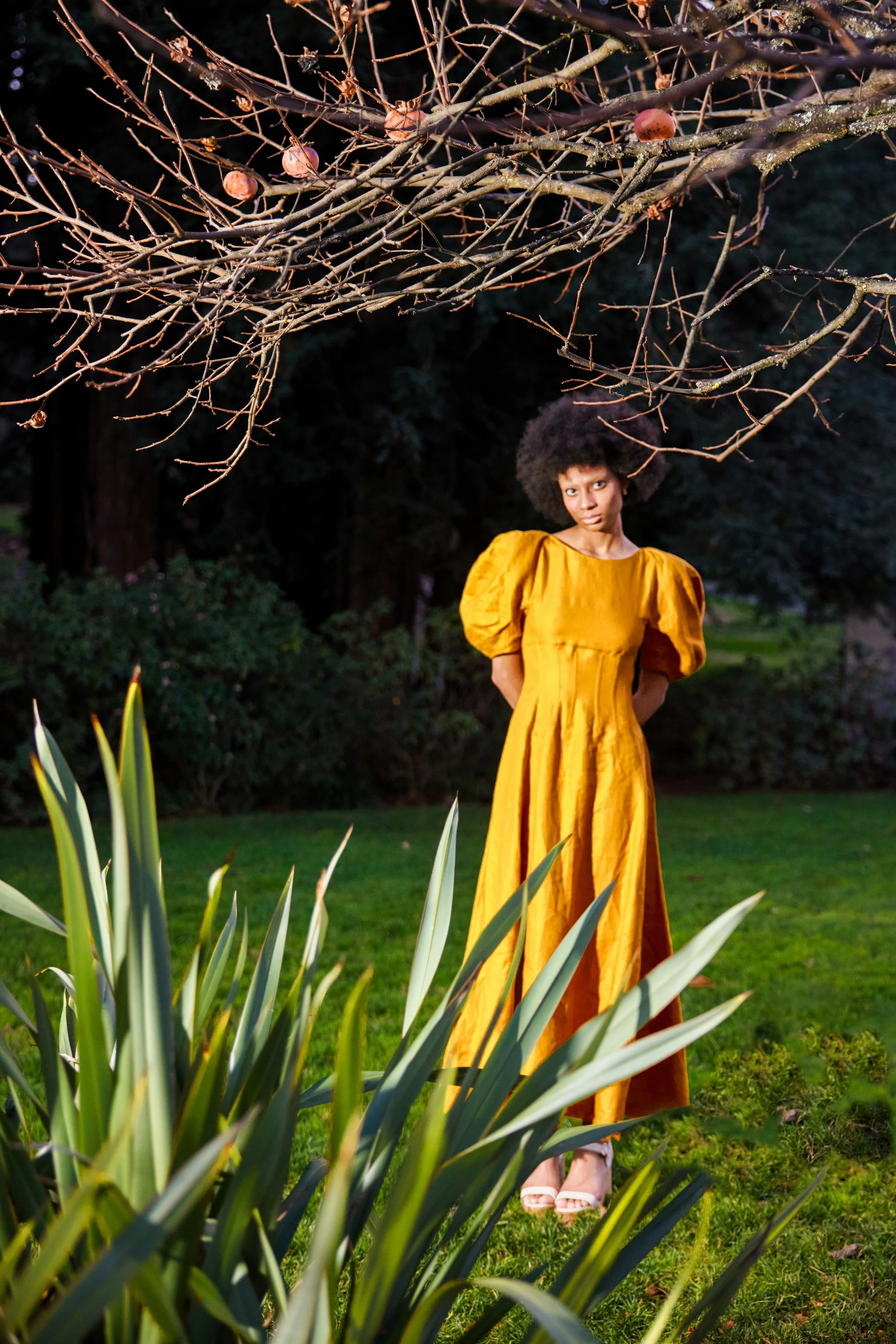 Ranya Dress - Image 2